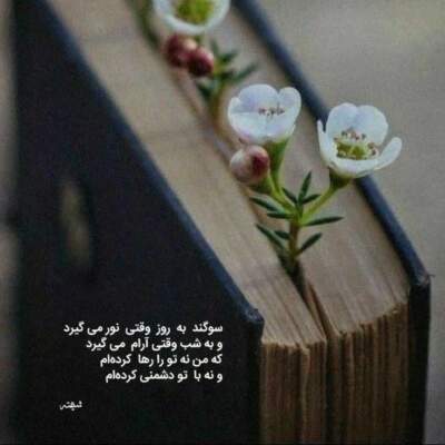 دانلود آهنگ  مه او اشکسه بالم که دارم شوق پرواز هومن آدینه وند